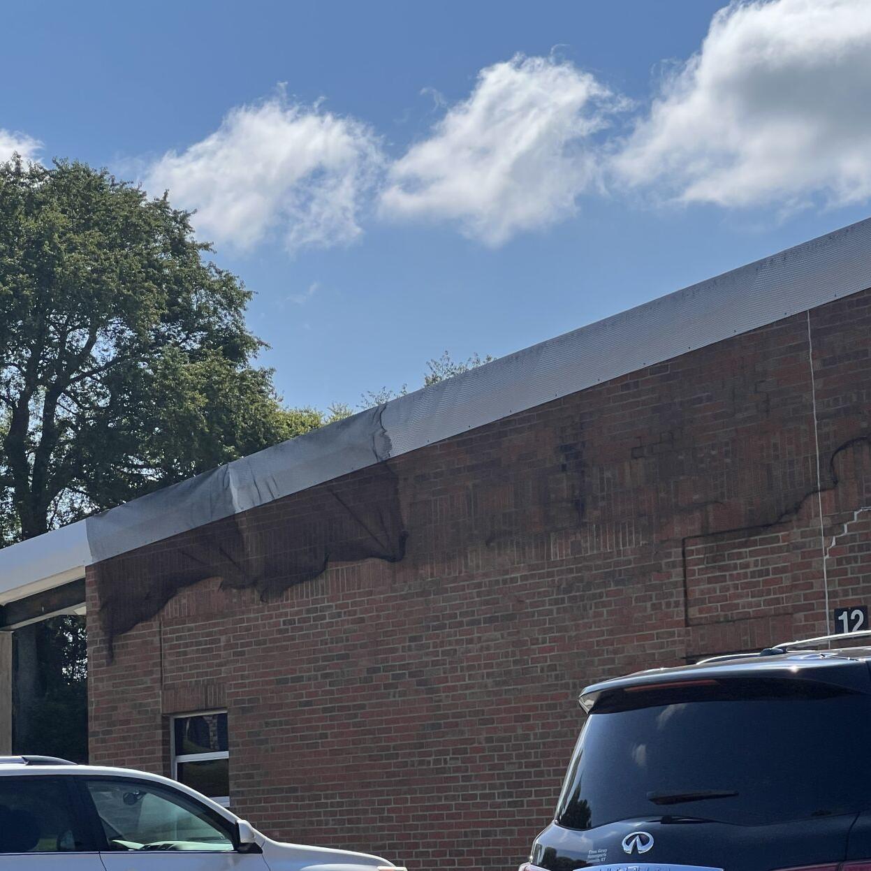 Netting around Wright Elementary School installed after bat infestation